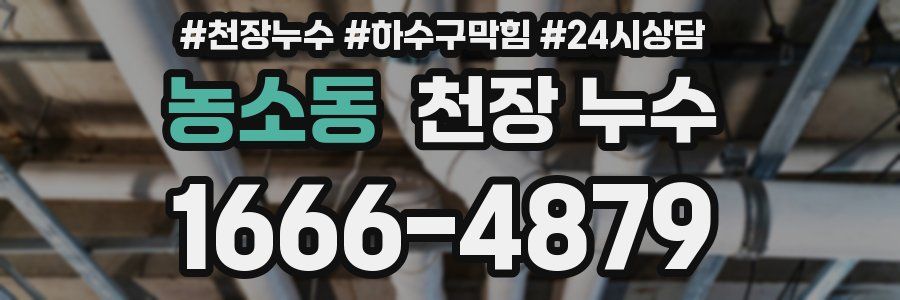 농소동 천장 누수