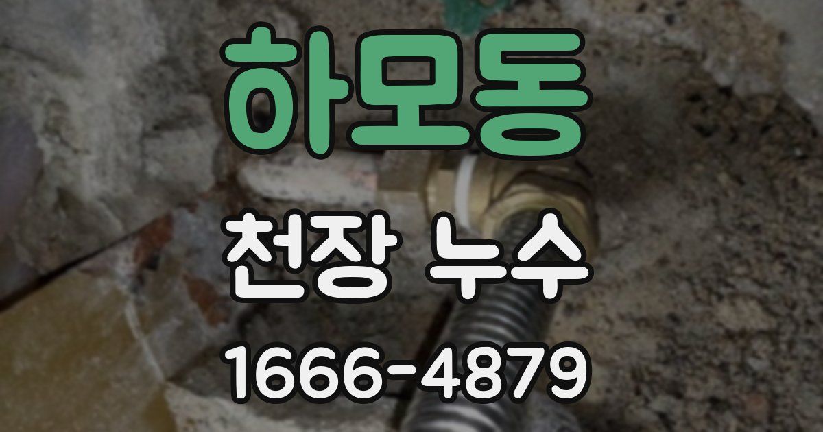 하모동 천장 누수