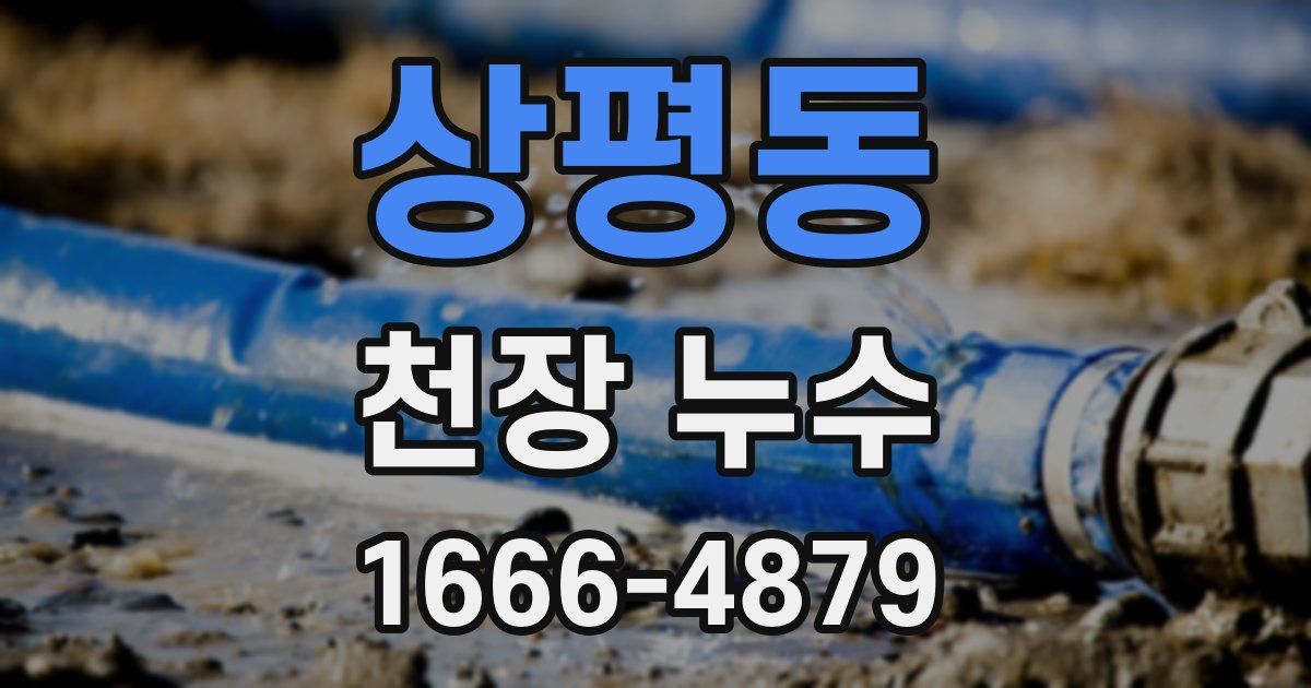 상평동 천장 누수