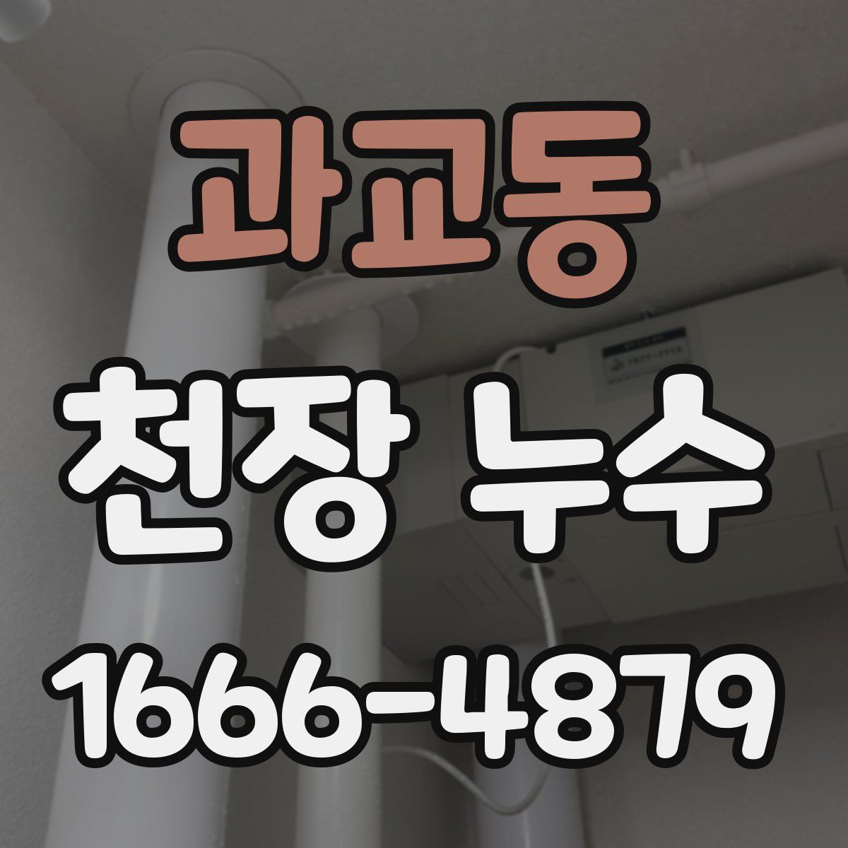 과교동 천장 누수