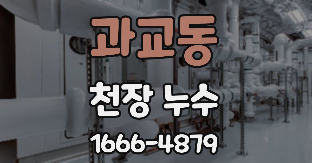 과교동 천장 누수