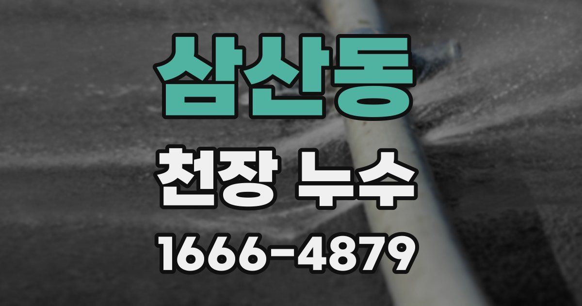 삼산동 천장 누수