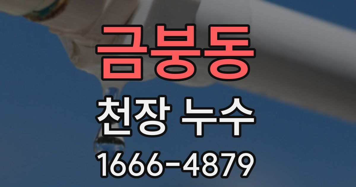 금붕동 천장 누수