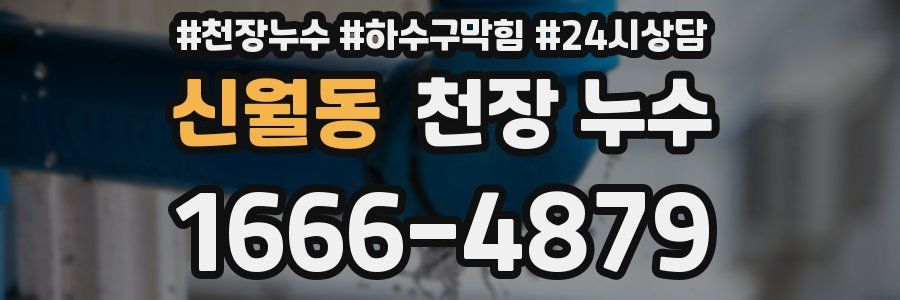 신월동 천장 누수