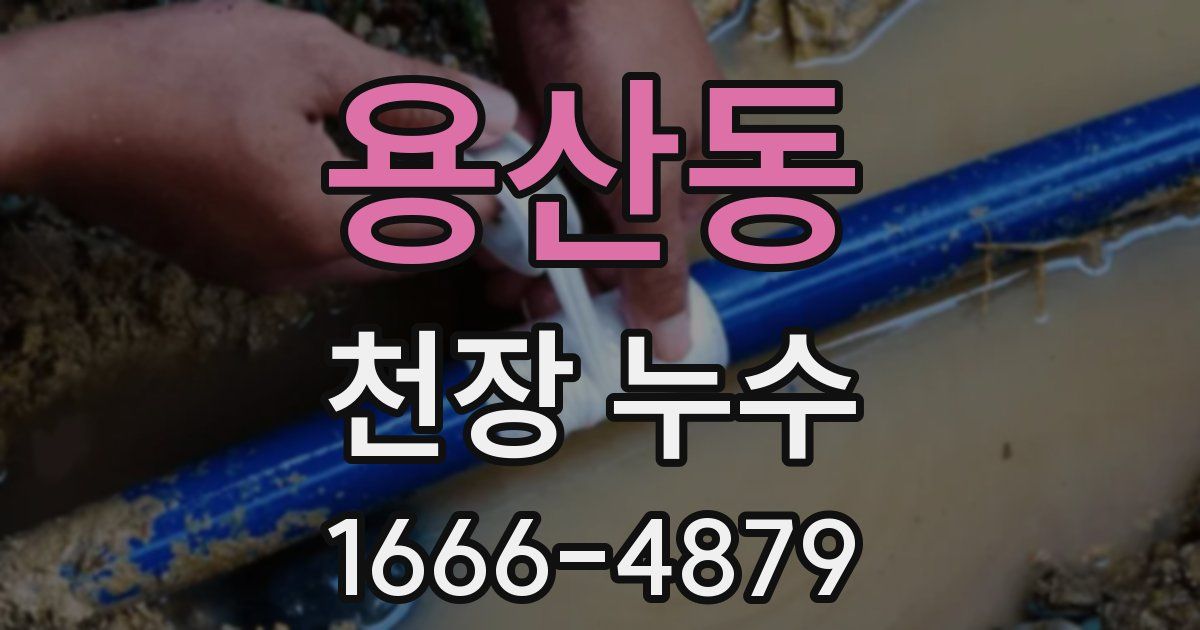 용산동 천장 누수