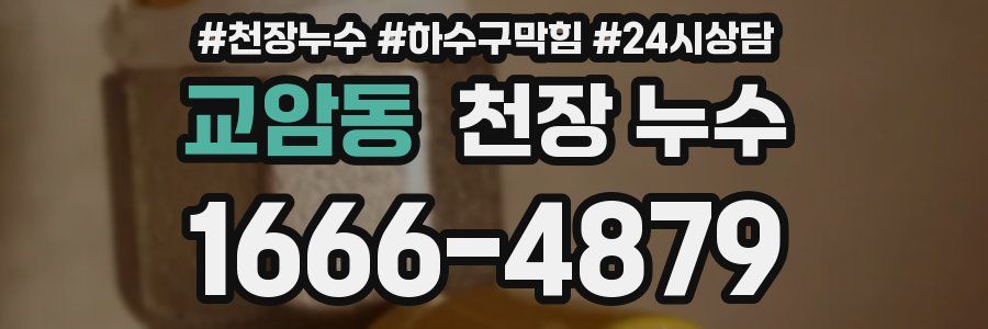 교암동 천장 누수