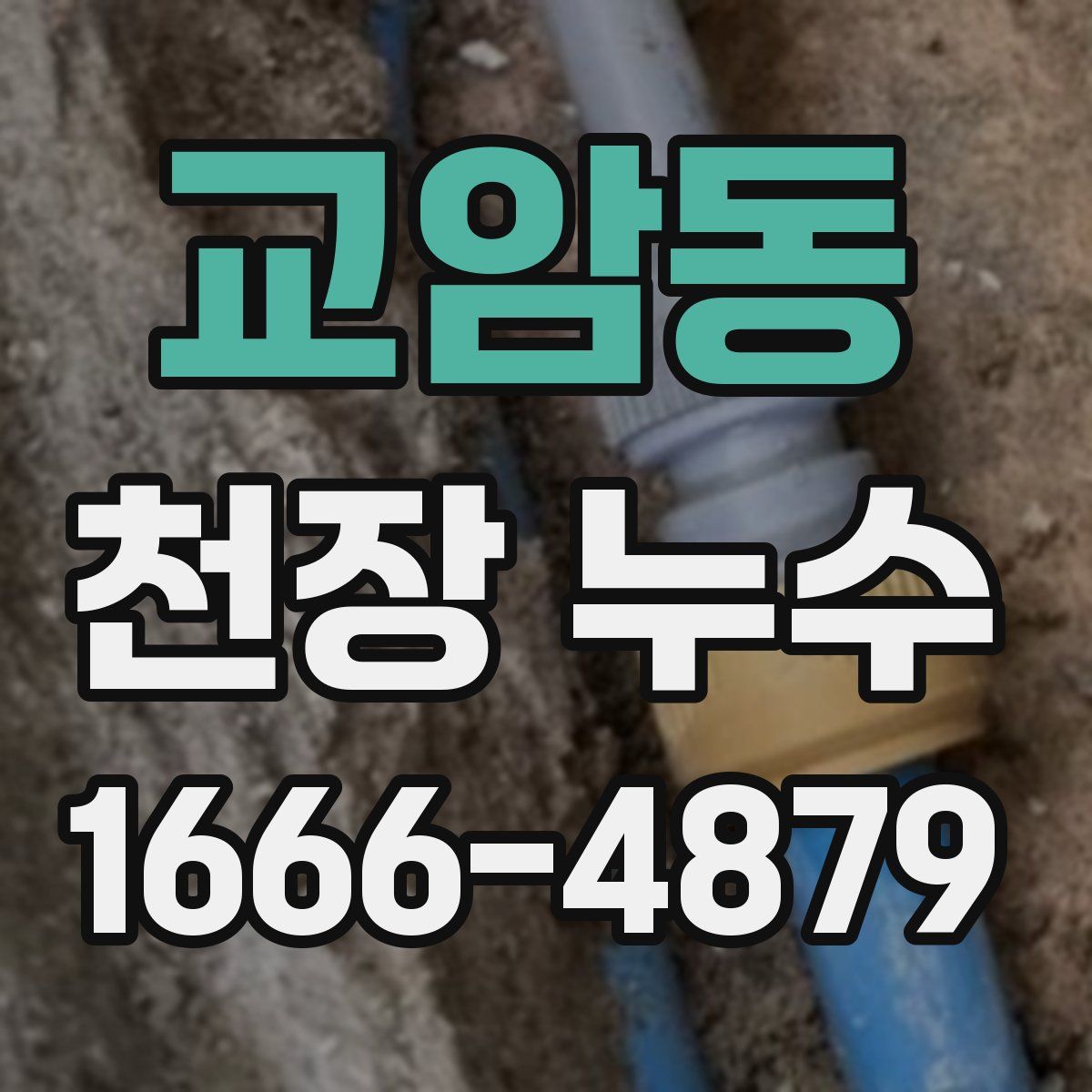 교암동 천장 누수