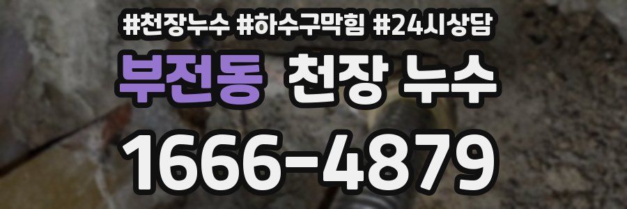 부전동 천장 누수