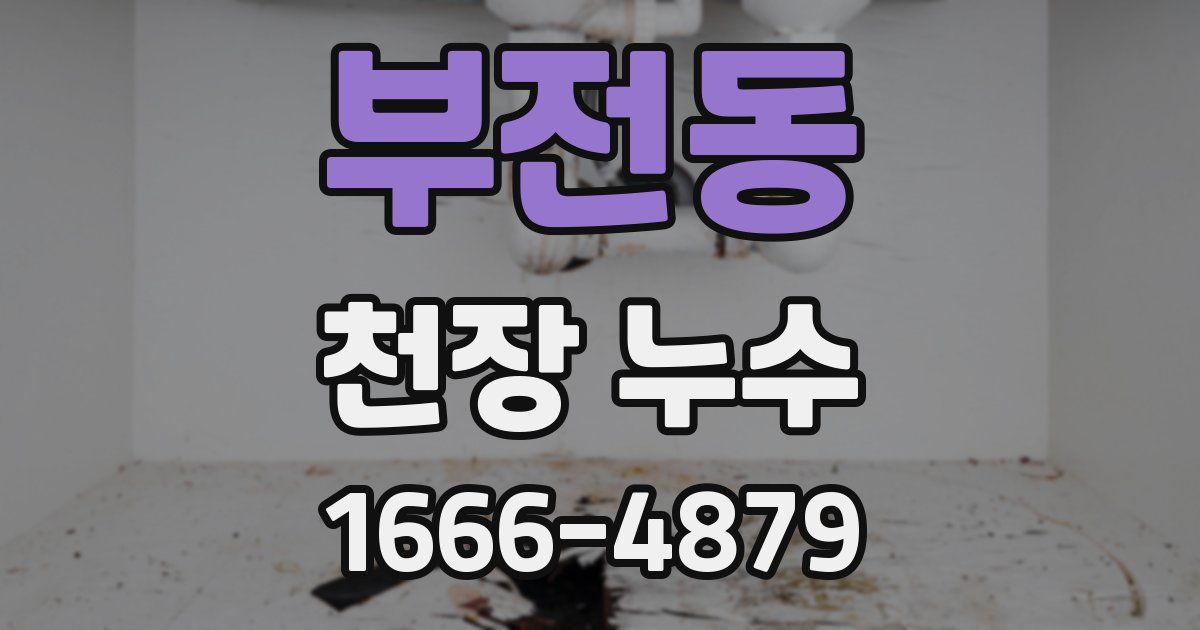 부전동 천장 누수