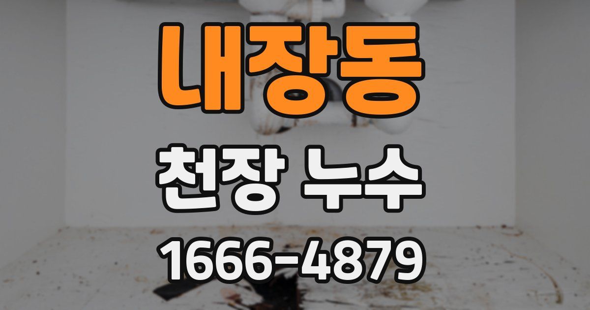 내장동 천장 누수