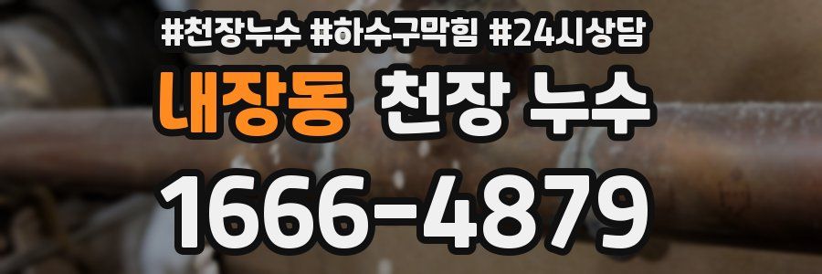 내장동 천장 누수