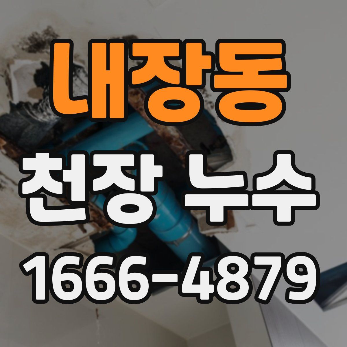 내장동 천장 누수
