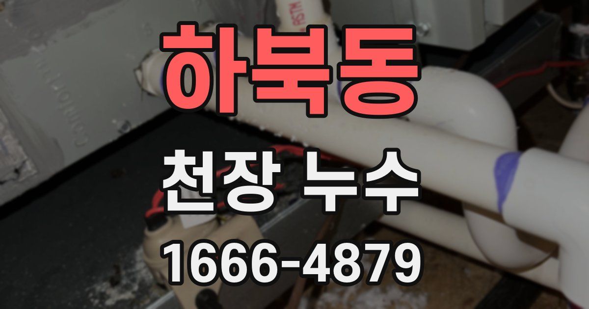 하북동 천장 누수