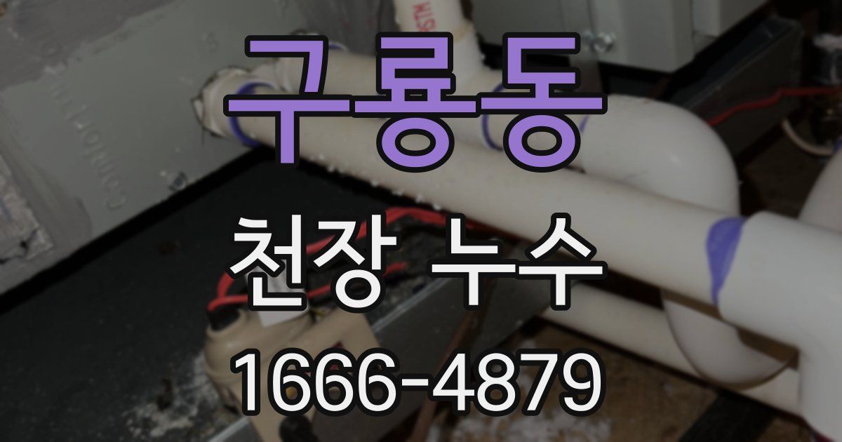 구룡동 천장 누수