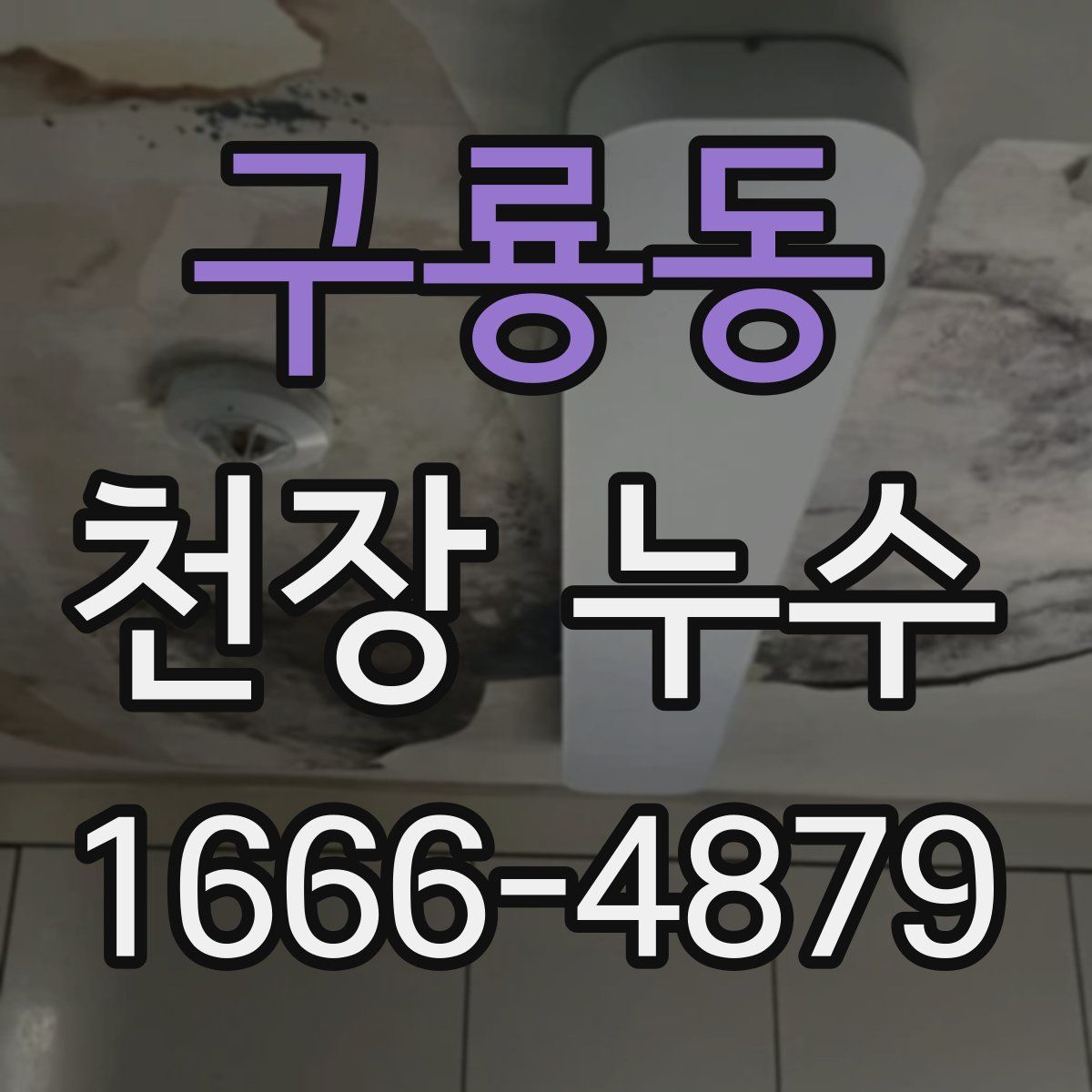 구룡동 천장 누수