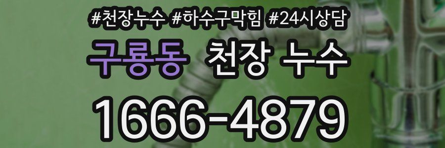 구룡동 천장 누수