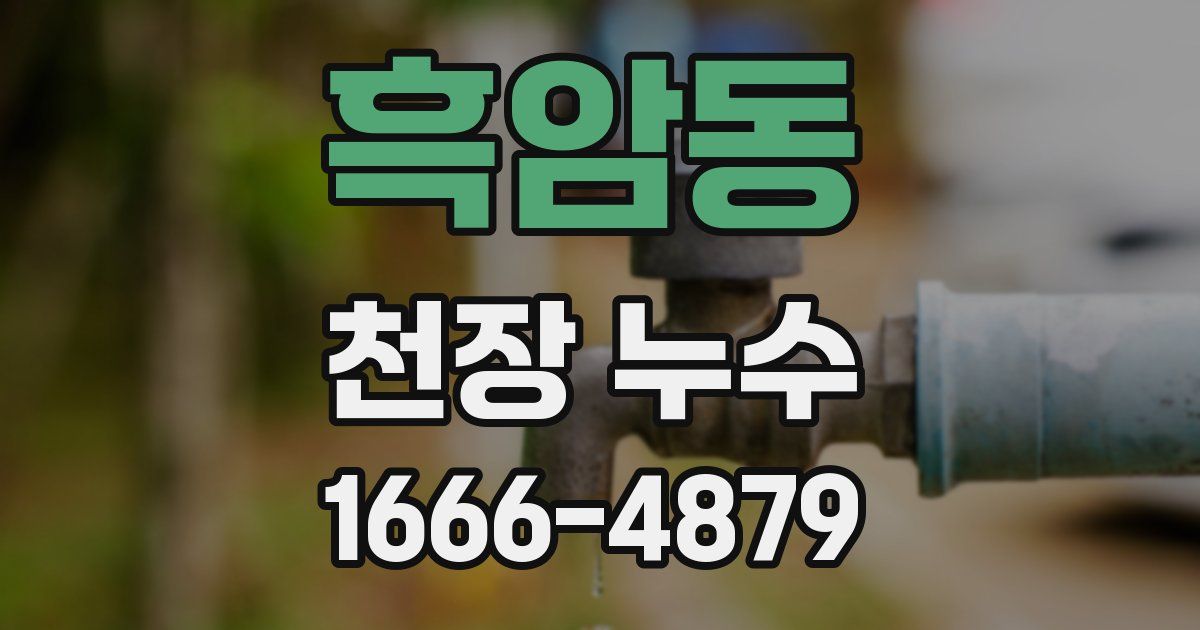 흑암동 천장 누수