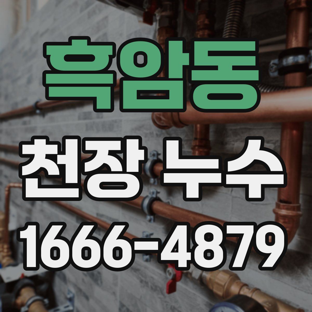 흑암동 천장 누수