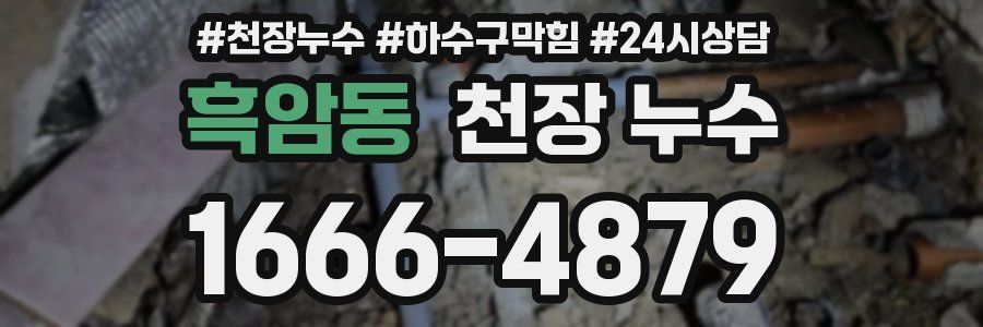 흑암동 천장 누수