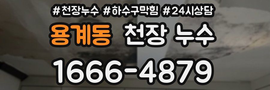 용계동 천장 누수