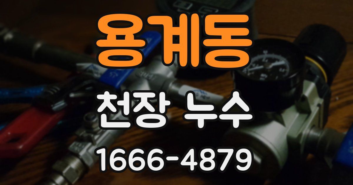 용계동 천장 누수