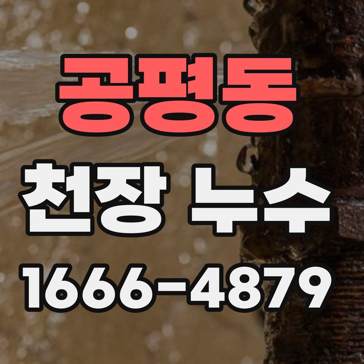 공평동 천장 누수