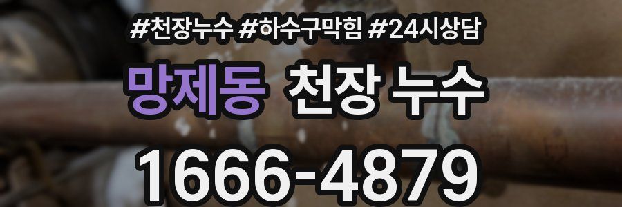 망제동 천장 누수