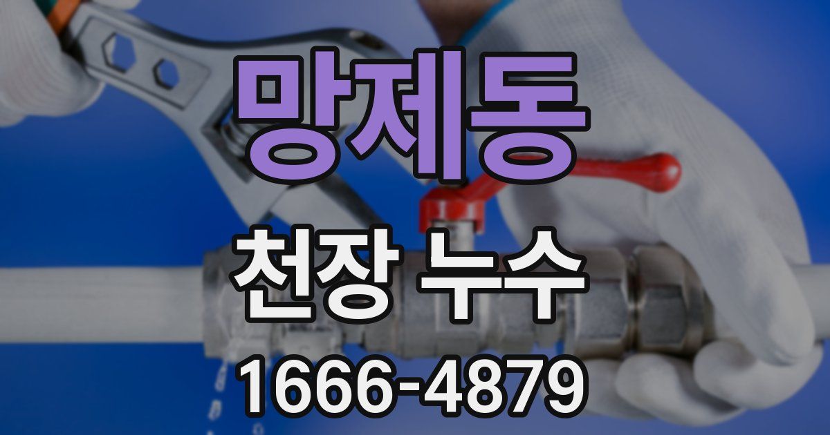 망제동 천장 누수