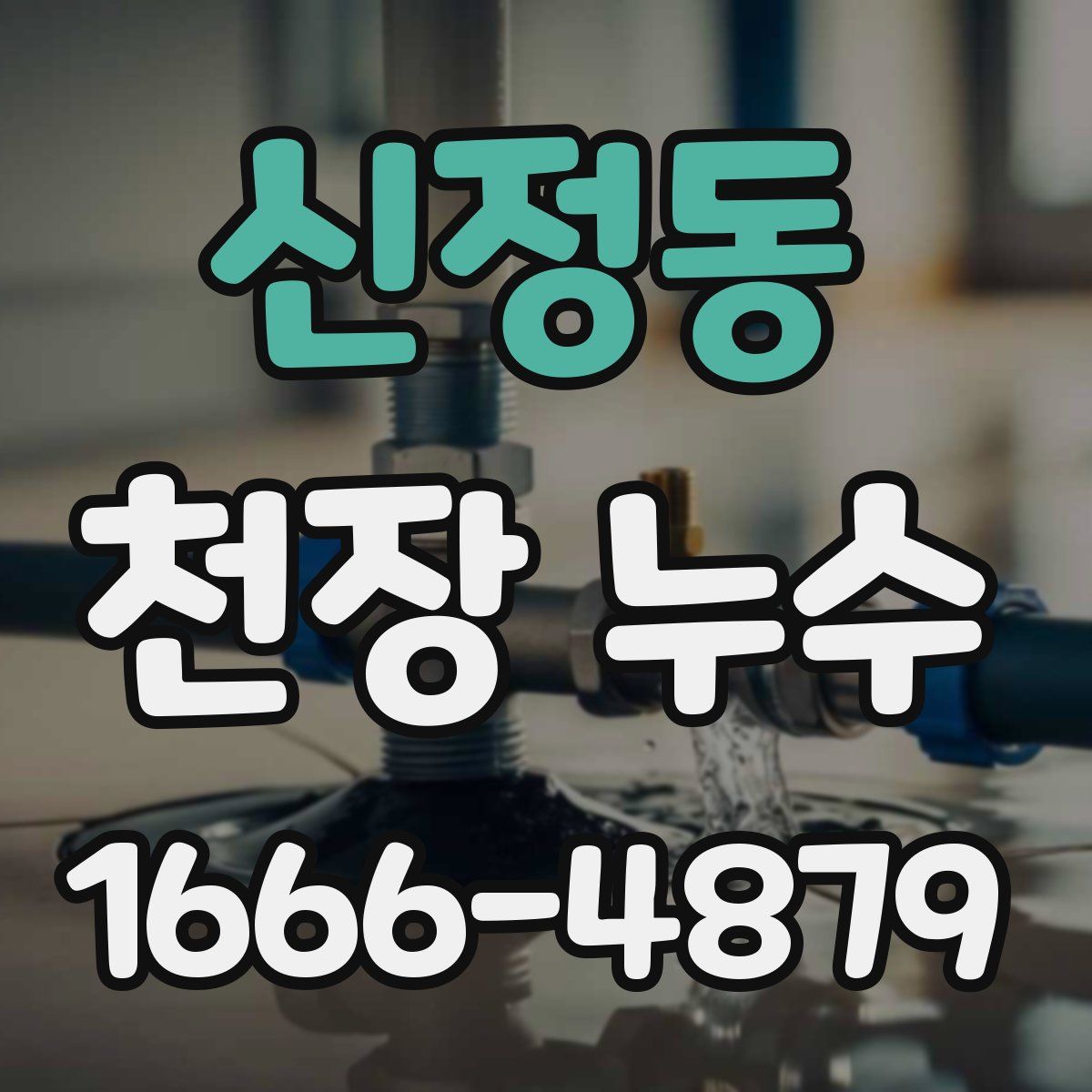 신정동 천장 누수