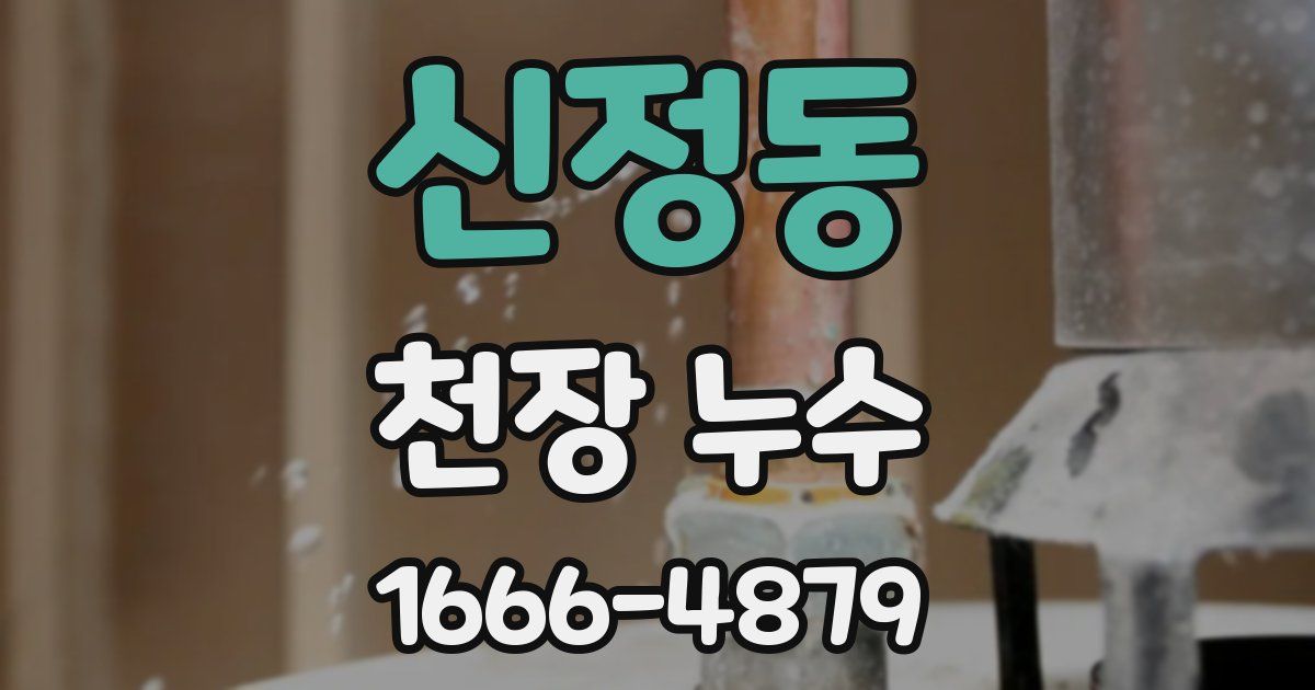 신정동 천장 누수