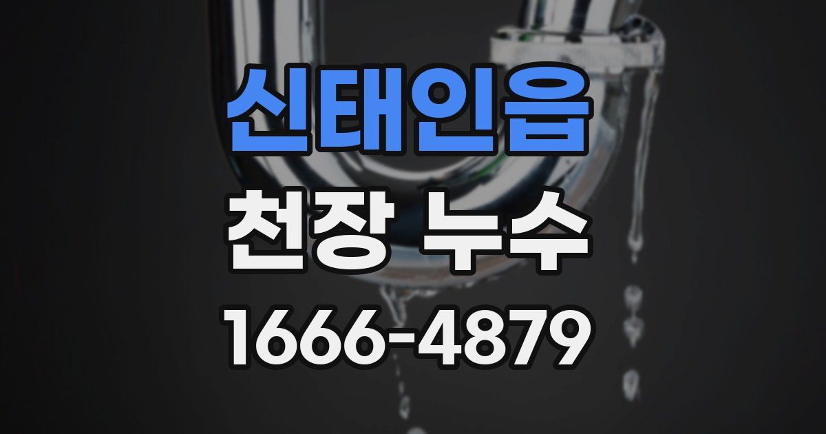 신태인읍 천장 누수