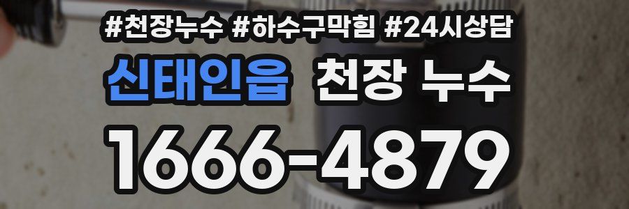 신태인읍 천장 누수