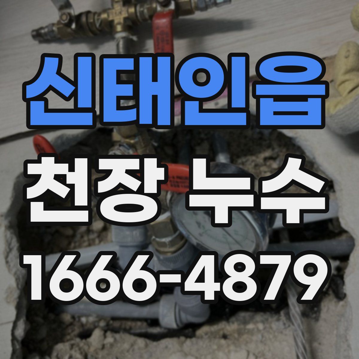 신태인읍 천장 누수