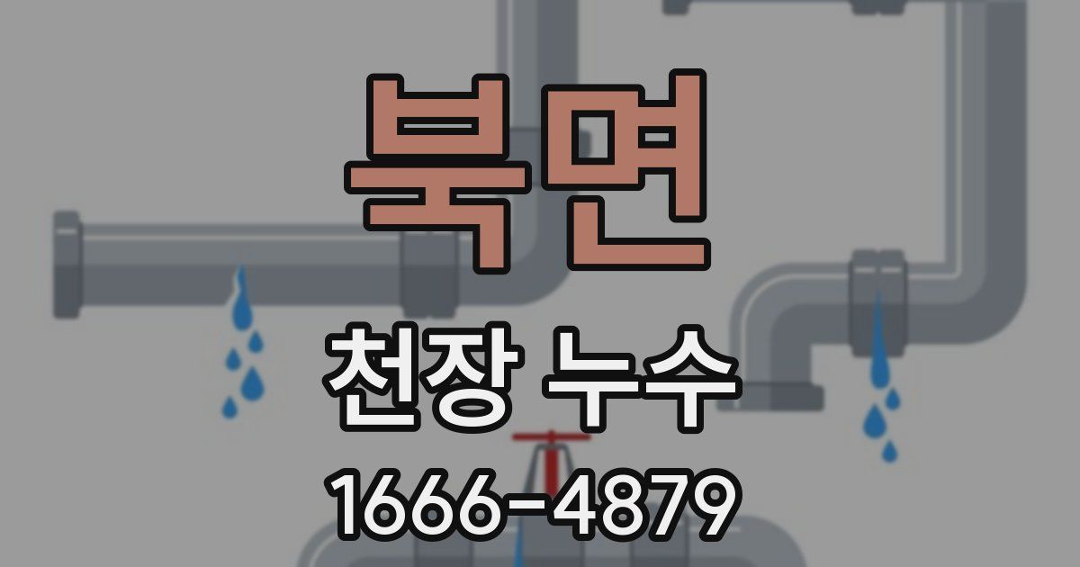 북면 천장 누수