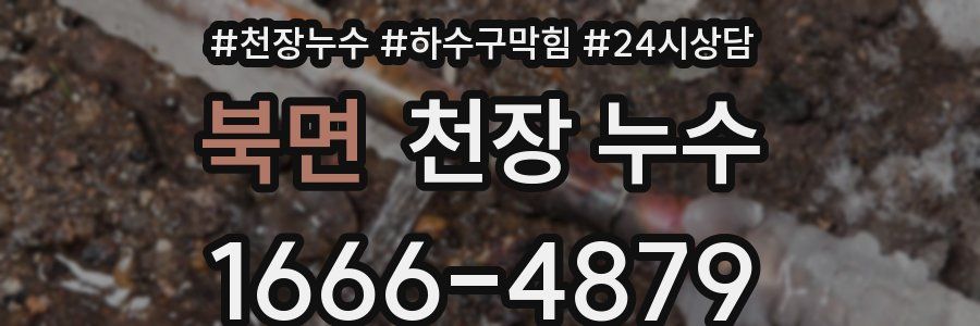 북면 천장 누수