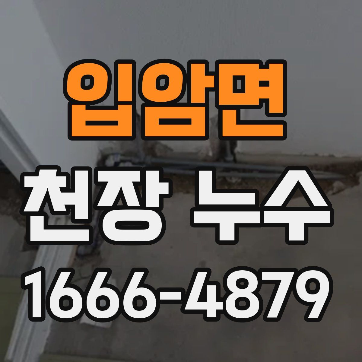 입암면 천장 누수