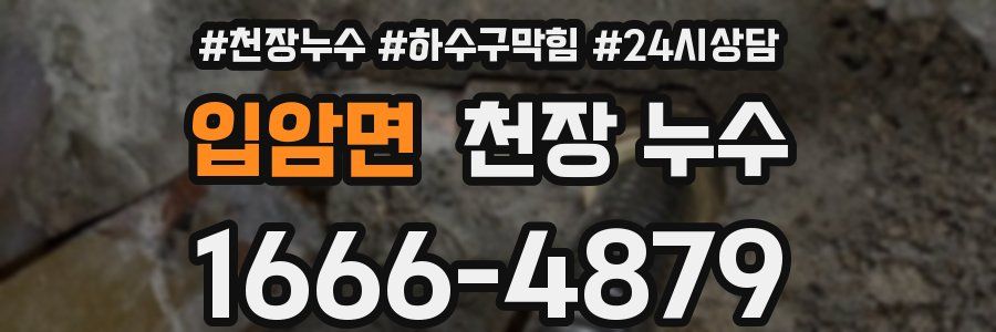 입암면 천장 누수