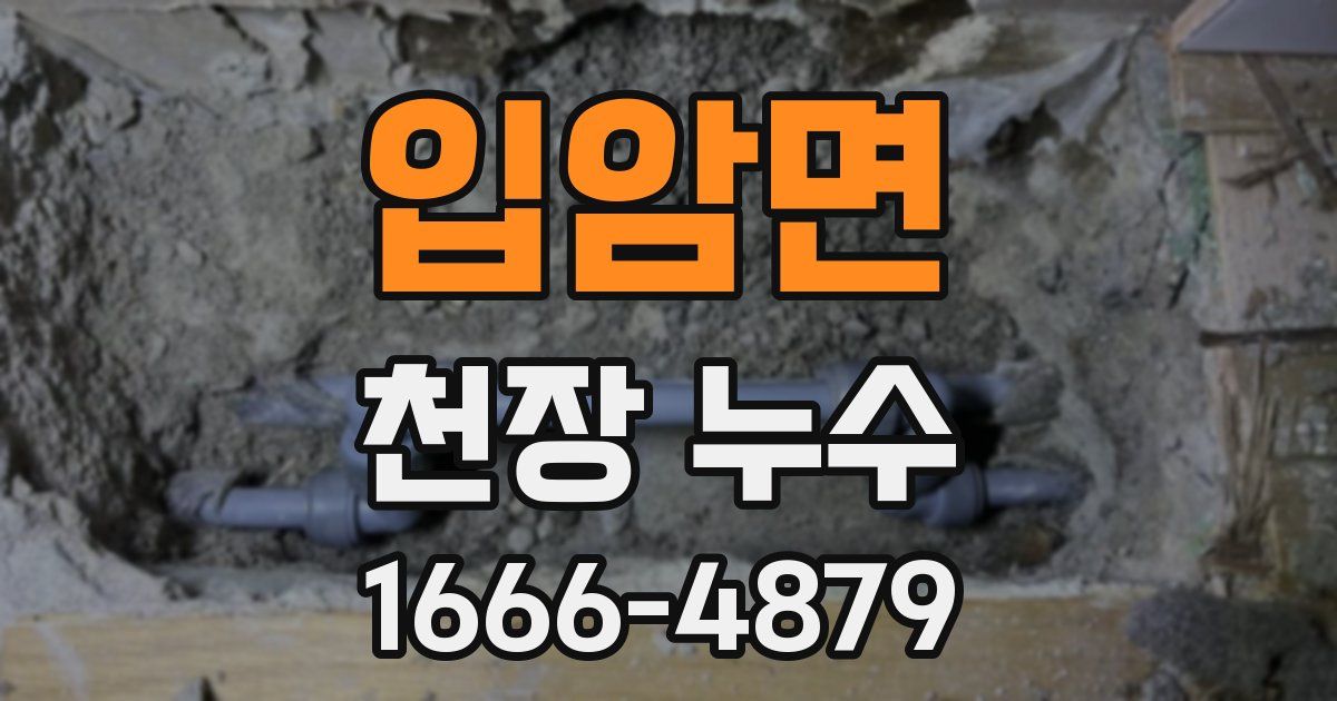 입암면 천장 누수
