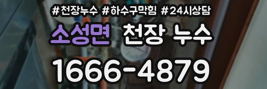 소성면 천장 누수