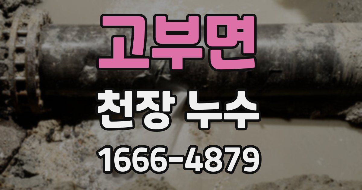 고부면 천장 누수