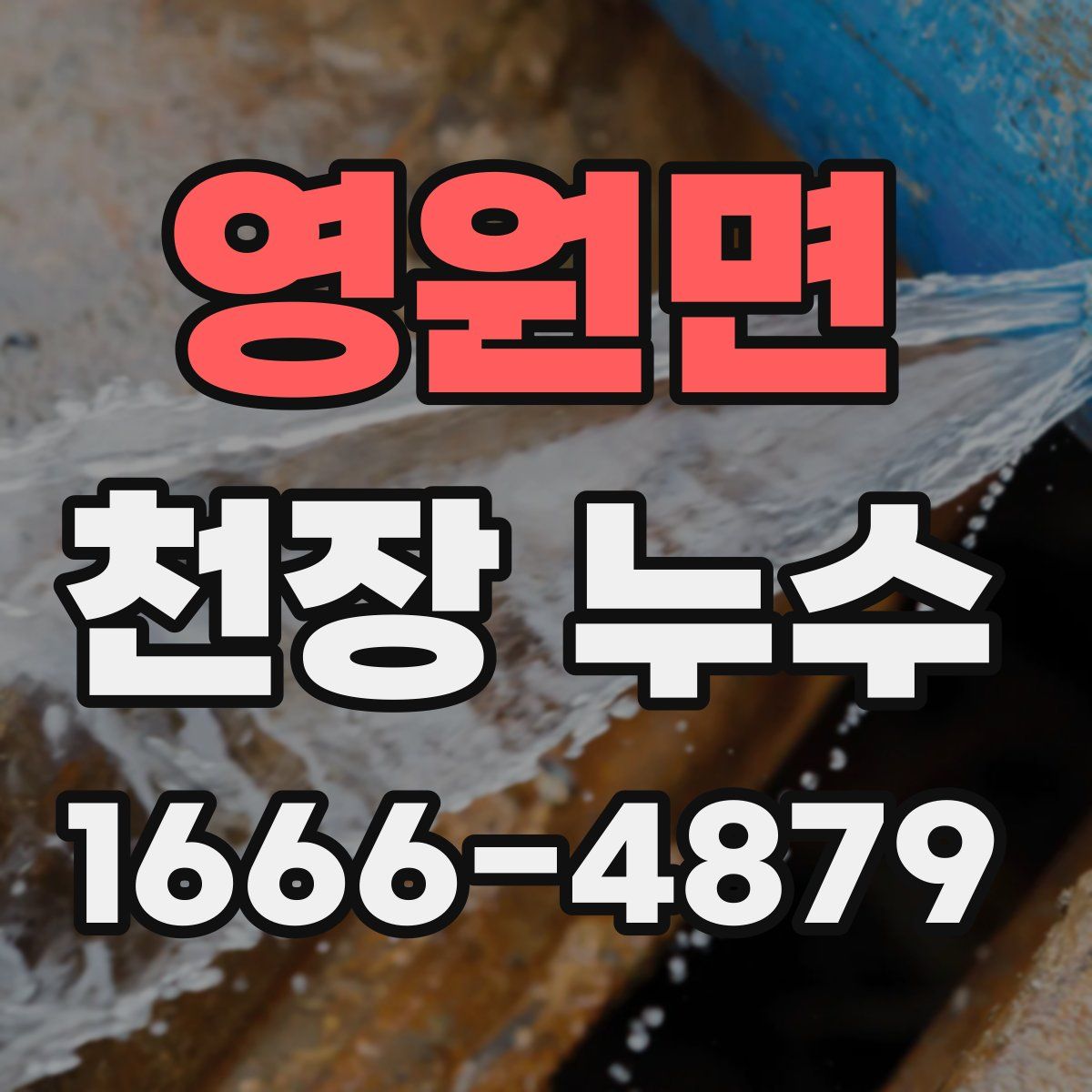 영원면 천장 누수