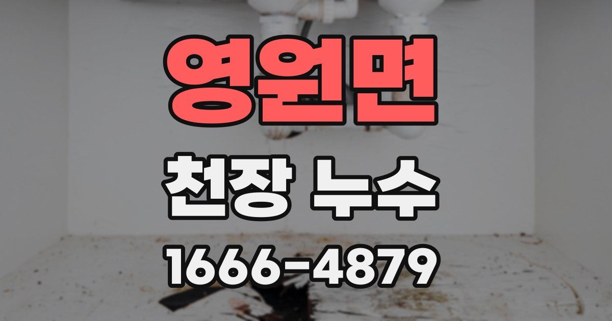 영원면 천장 누수