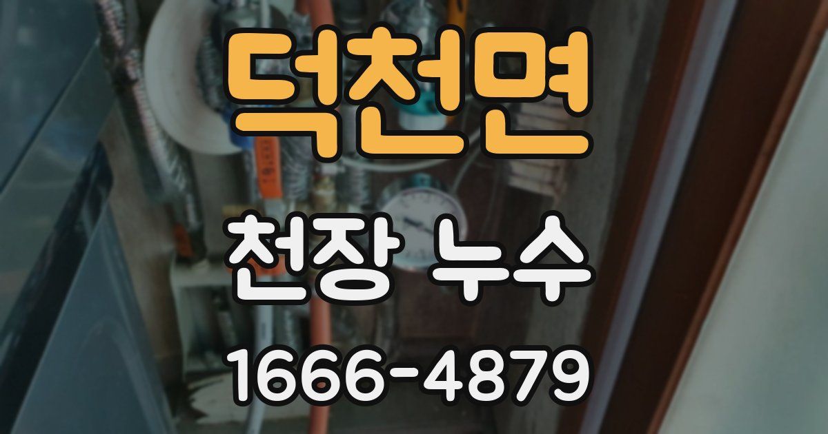 덕천면 천장 누수