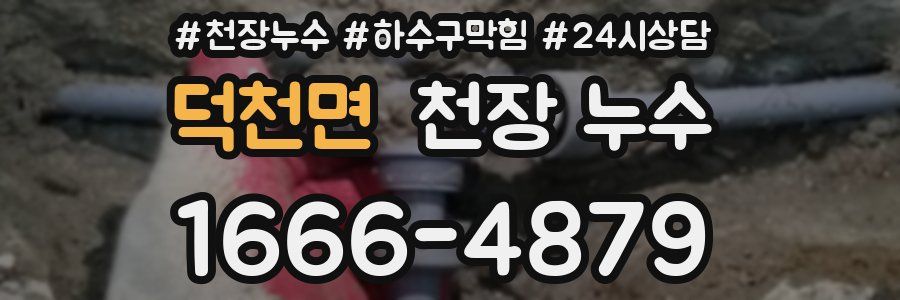 덕천면 천장 누수