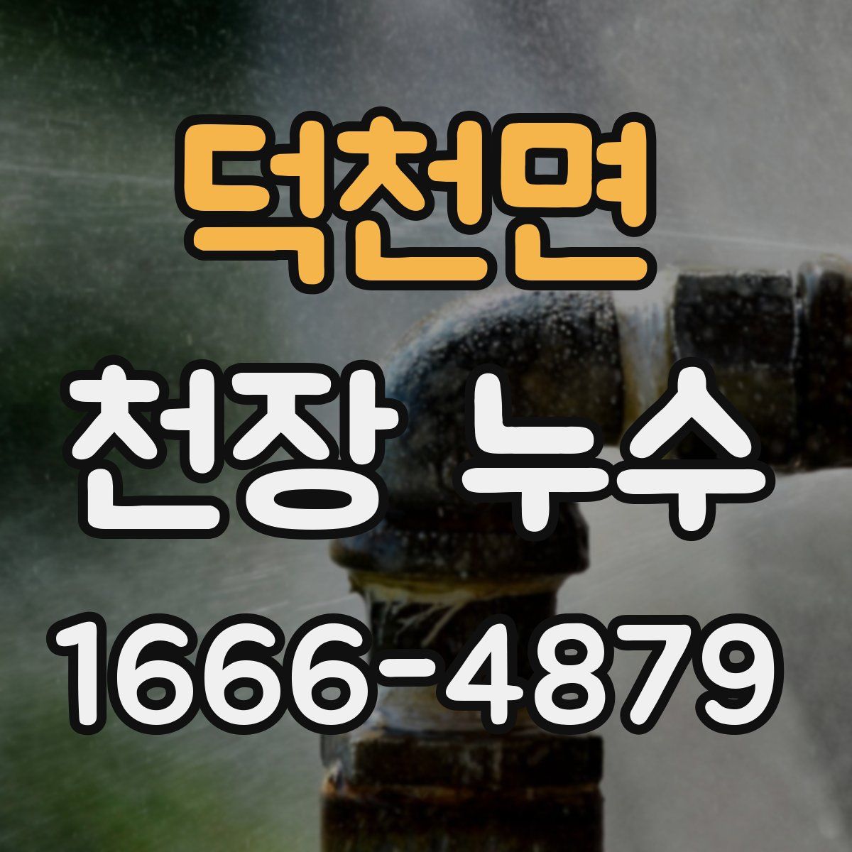 덕천면 천장 누수