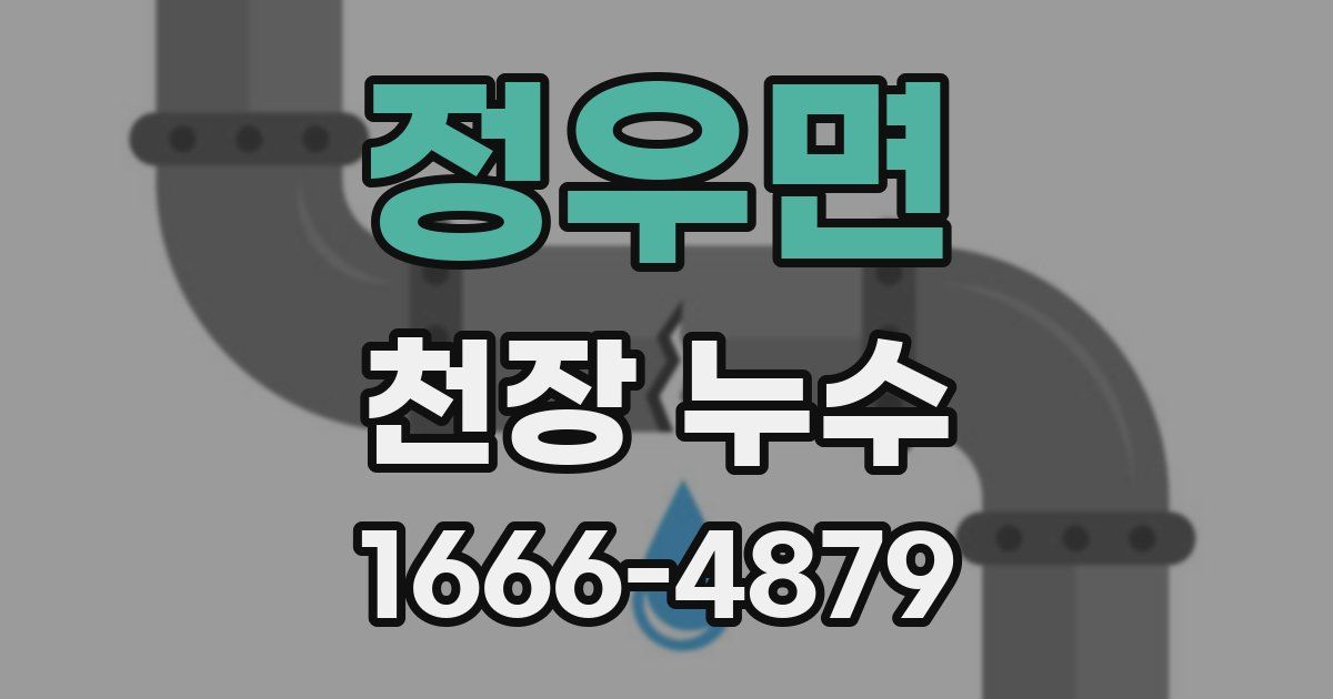 정우면 천장 누수