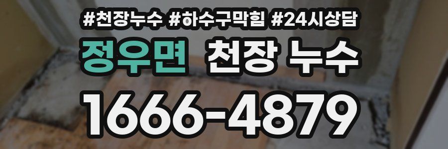 정우면 천장 누수