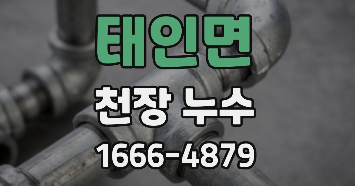 태인면 천장 누수