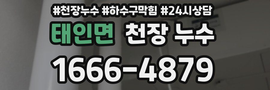 태인면 천장 누수