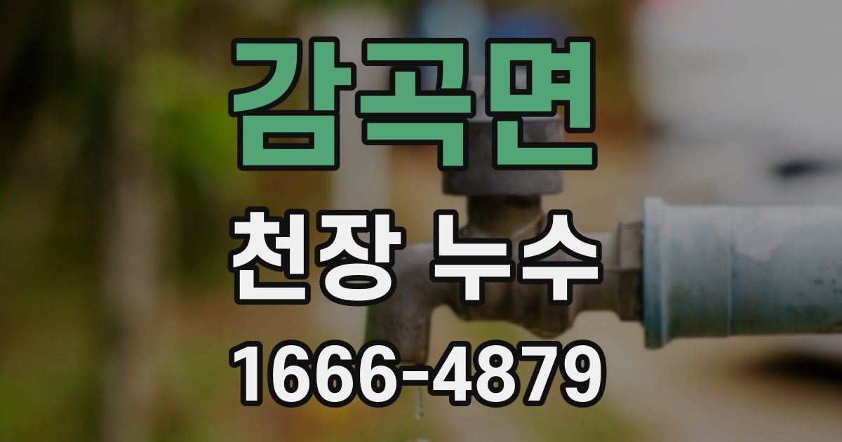 감곡면 천장 누수